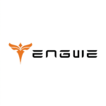 Engwe E Bike