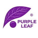 Purple Leaf Rabattcode Und Gutschein